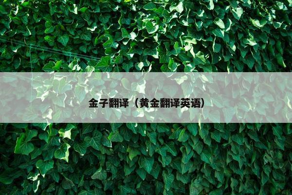 金子翻译（黄金翻译英语）