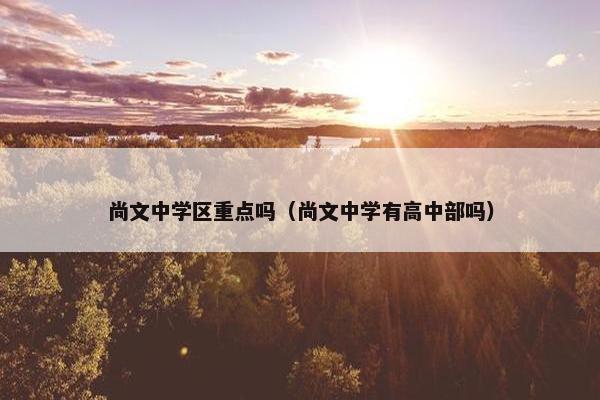 尚文中学区重点吗（尚文中学有高中部吗）