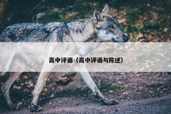 高中评语（高中评语与陈述）