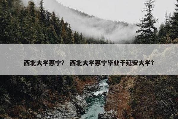 西北大学惠宁？ 西北大学惠宁毕业于延安大学？