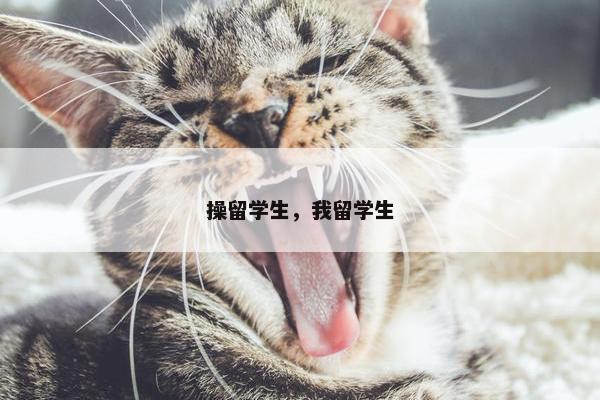 操留学生，我留学生