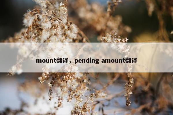 mount翻译，pending amount翻译