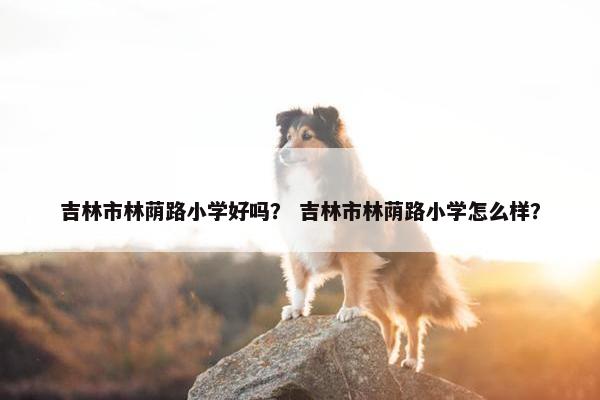 吉林市林荫路小学好吗？ 吉林市林荫路小学怎么样？