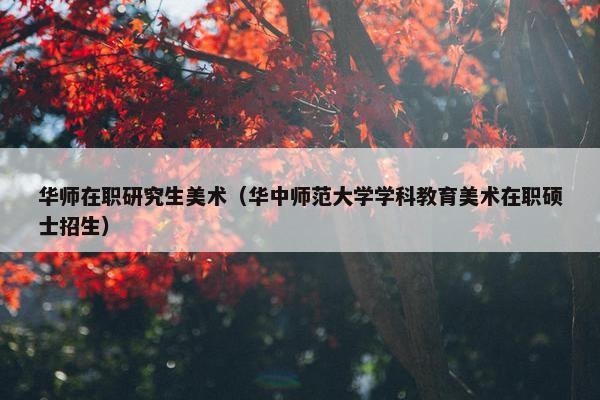 华师在职研究生美术（华中师范大学学科教育美术在职硕士招生）