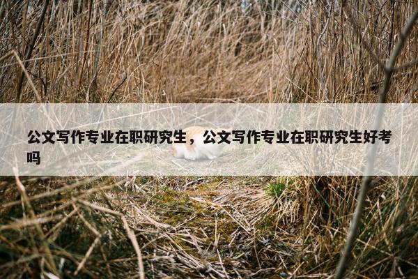 公文写作专业在职研究生，公文写作专业在职研究生好考吗