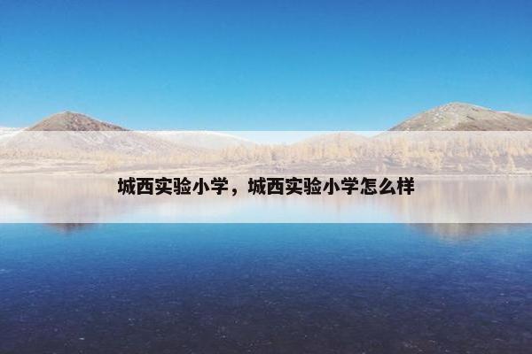 城西实验小学，城西实验小学怎么样