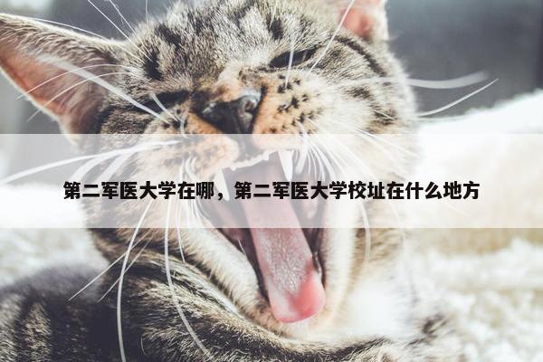 第二军医大学在哪，第二军医大学校址在什么地方