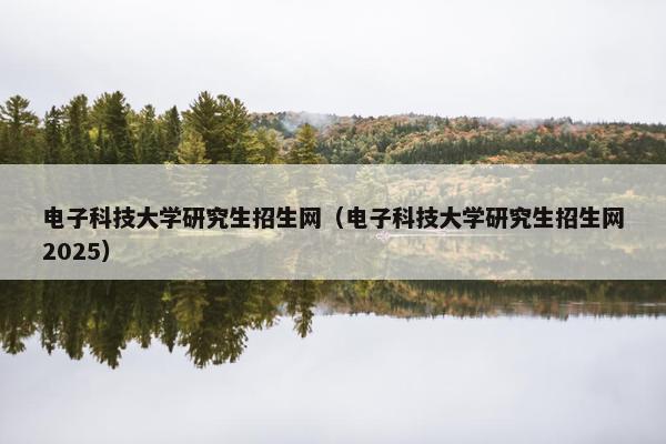 电子科技大学研究生招生网（电子科技大学研究生招生网2025）