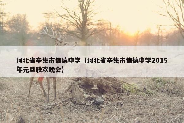 河北省辛集市信德中学（河北省辛集市信德中学2015年元旦联欢晚会）