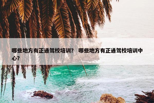 哪些地方有正通驾校培训？ 哪些地方有正通驾校培训中心？