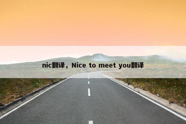 nic翻译，Nice to meet you翻译