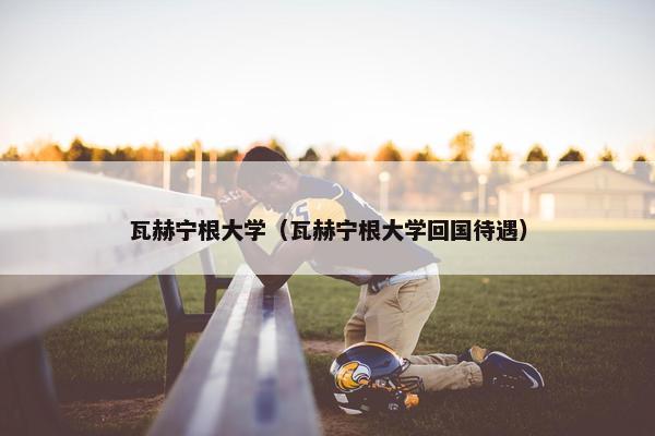 瓦赫宁根大学（瓦赫宁根大学回国待遇）