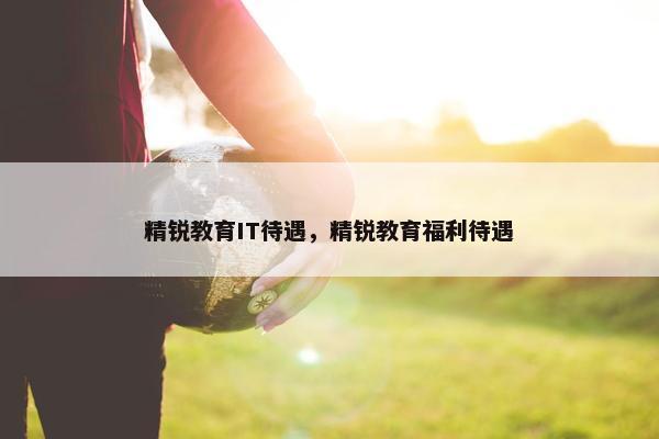 精锐教育IT待遇，精锐教育福利待遇