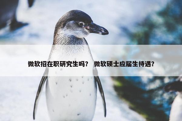 微软招在职研究生吗？ 微软硕士应届生待遇？