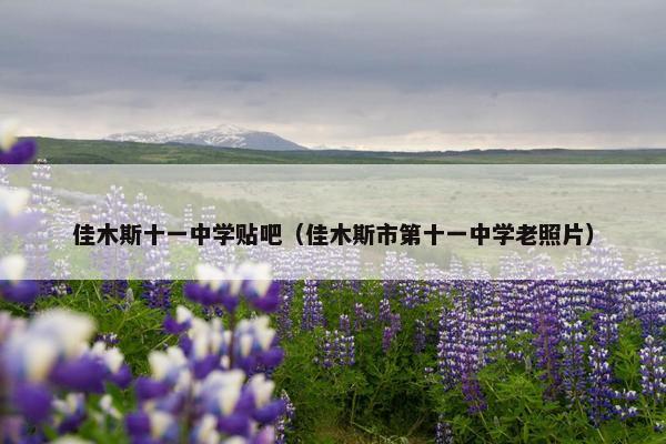佳木斯十一中学贴吧（佳木斯市第十一中学老照片）