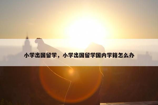 小学出国留学，小学出国留学国内学籍怎么办