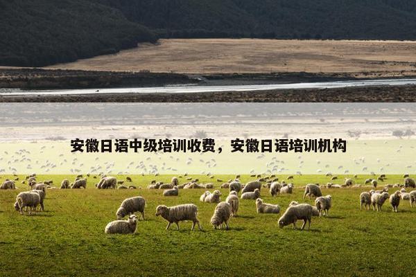 安徽日语中级培训收费，安徽日语培训机构