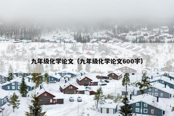 九年级化学论文（九年级化学论文600字）