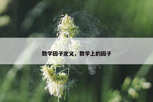 数学因子定义，数学上的因子