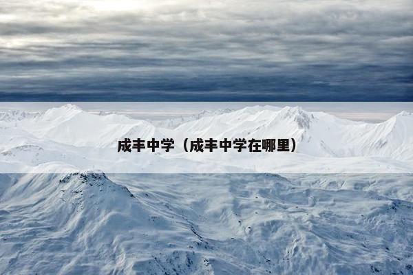 成丰中学（成丰中学在哪里）