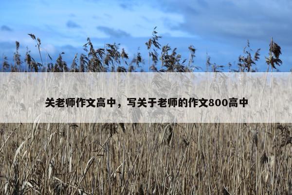 关老师作文高中，写关于老师的作文800高中