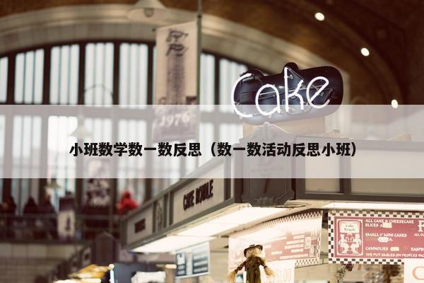 小班数学数一数反思（数一数活动反思小班）