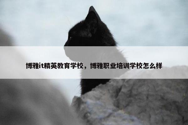 博雅it精英教育学校，博雅职业培训学校怎么样