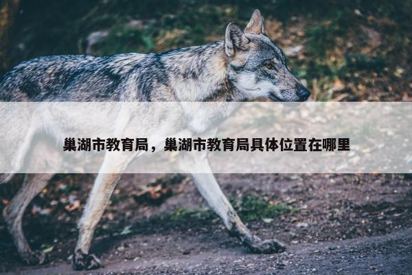 巢湖市教育局，巢湖市教育局具体位置在哪里