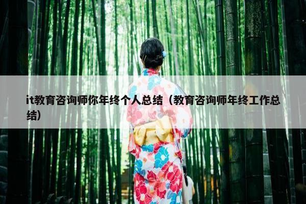 it教育咨询师你年终个人总结（教育咨询师年终工作总结）
