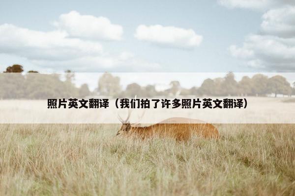 照片英文翻译（我们拍了许多照片英文翻译）