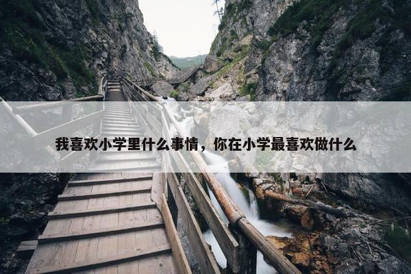 我喜欢小学里什么事情，你在小学最喜欢做什么
