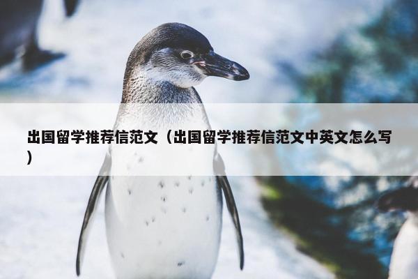 出国留学推荐信范文（出国留学推荐信范文中英文怎么写）