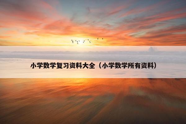 小学数学复习资料大全（小学数学所有资料）
