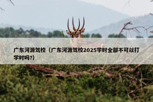 广东河源驾校（广东河源驾校2025学时全部不可以打学时吗?）