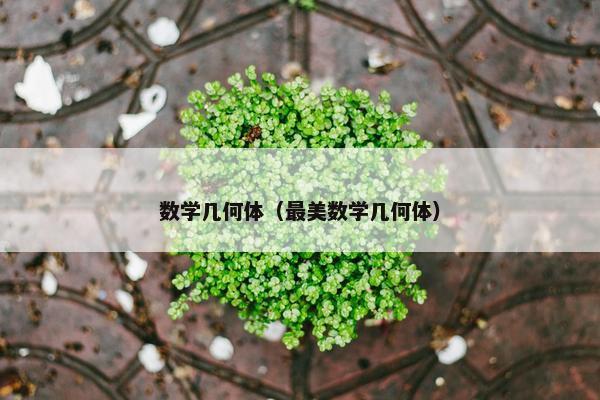 数学几何体（最美数学几何体）