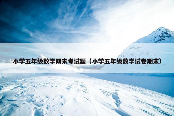 小学五年级数学期末考试题（小学五年级数学试卷期末）
