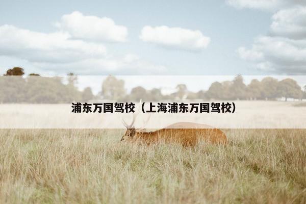 浦东万国驾校（上海浦东万国驾校）