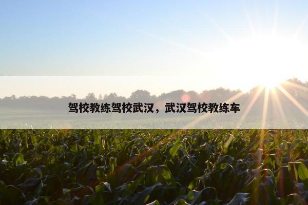 驾校教练驾校武汉，武汉驾校教练车