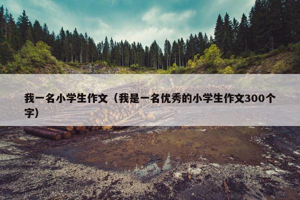 我一名小学生作文（我是一名优秀的小学生作文300个字）