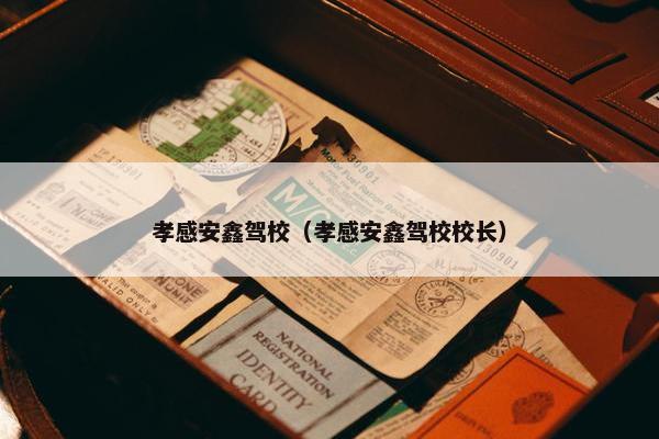 孝感安鑫驾校（孝感安鑫驾校校长）