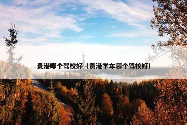 贵港哪个驾校好（贵港学车哪个驾校好）