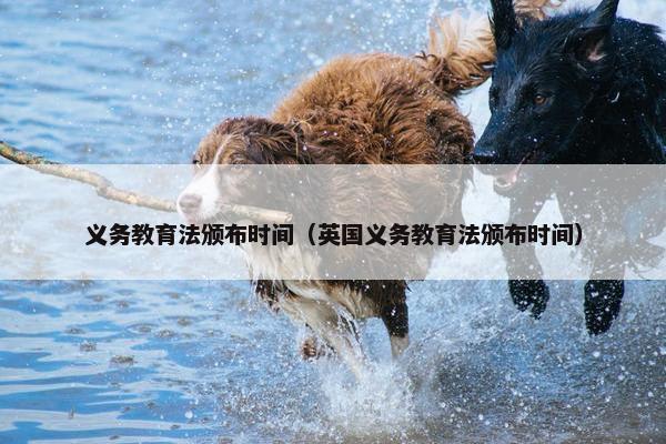 义务教育法颁布时间（英国义务教育法颁布时间）