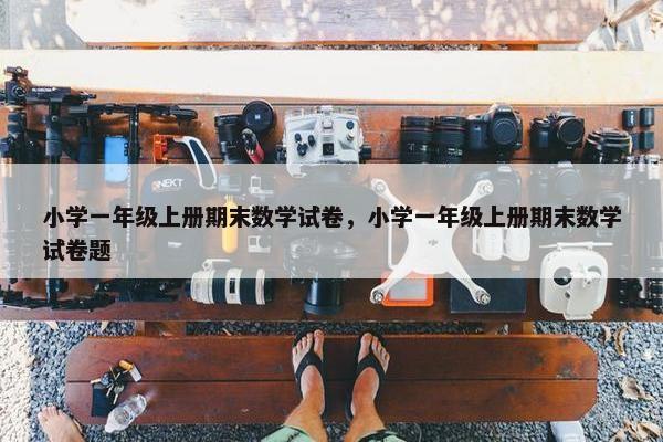 小学一年级上册期末数学试卷，小学一年级上册期末数学试卷题