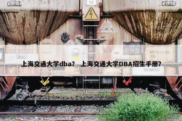上海交通大学dba？ 上海交通大学DBA招生手册？