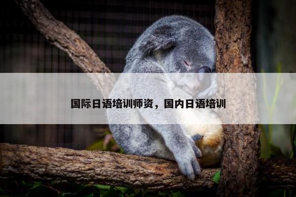 国际日语培训师资，国内日语培训