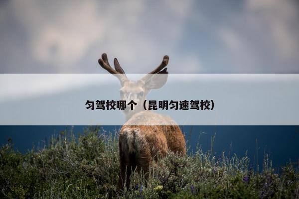 匀驾校哪个（昆明匀速驾校）