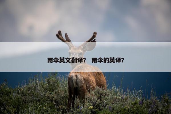 雨伞英文翻译？ 雨伞的英译？