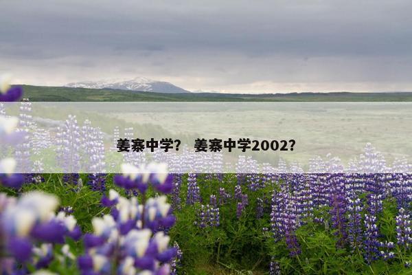 姜寨中学？ 姜寨中学2002？