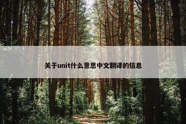 关于unit什么意思中文翻译的信息
