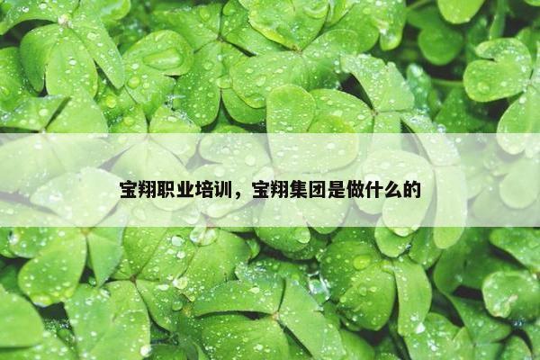 宝翔职业培训，宝翔集团是做什么的